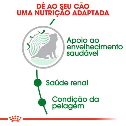 Royal Canin Cão Mini Ageing 12+ Aves - Ração seca para cão