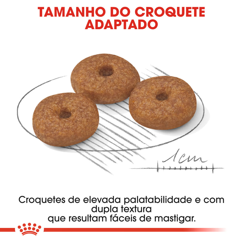Royal Canin Cão Mini Ageing 12+ Aves - Ração seca para cão
