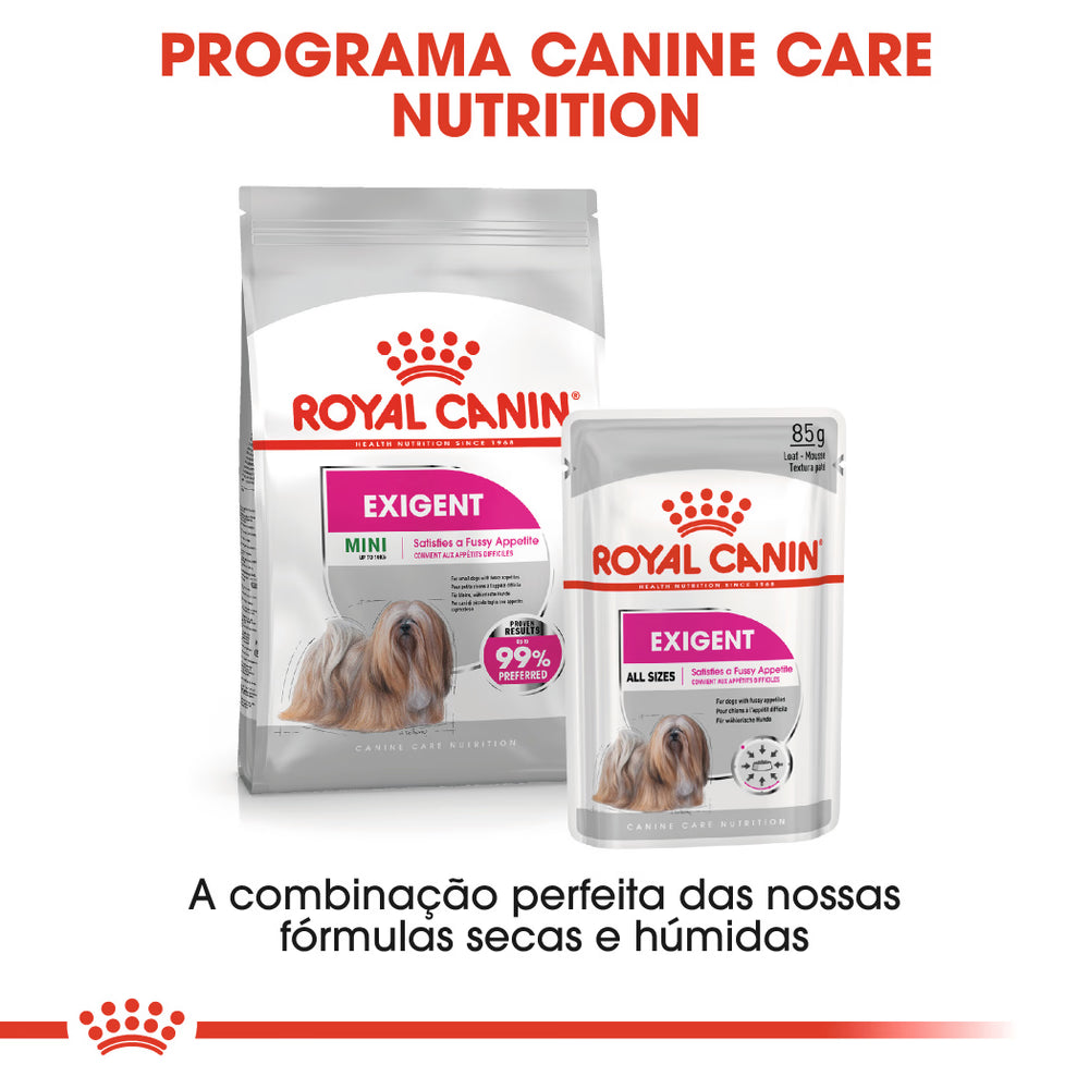Royal Canin Cão Mini Exigent Aves - Ração seca para cão