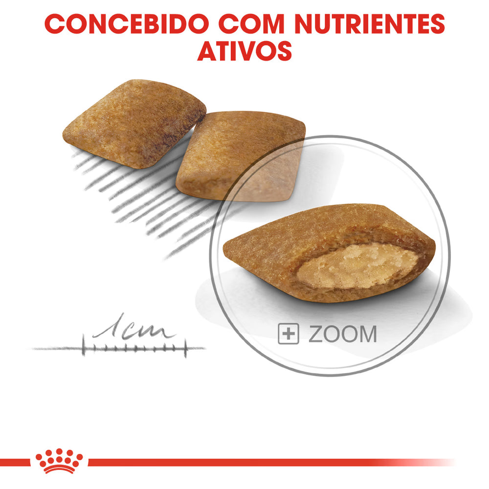 Royal Canin Cão Mini Exigent Aves - Ração seca para cão