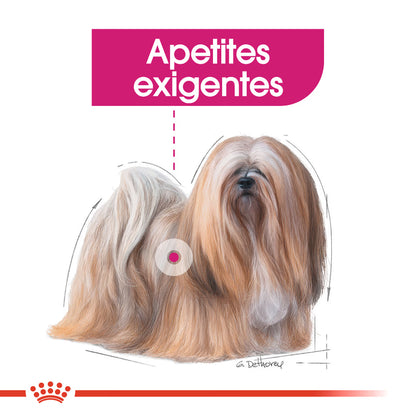 Royal Canin Cão Mini Exigent Aves - Ração seca para cão