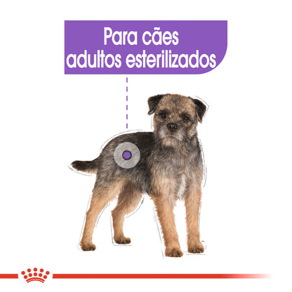 Royal Canin Perro Mini Sterilised Aves - Pienso seco para perro esterilizado