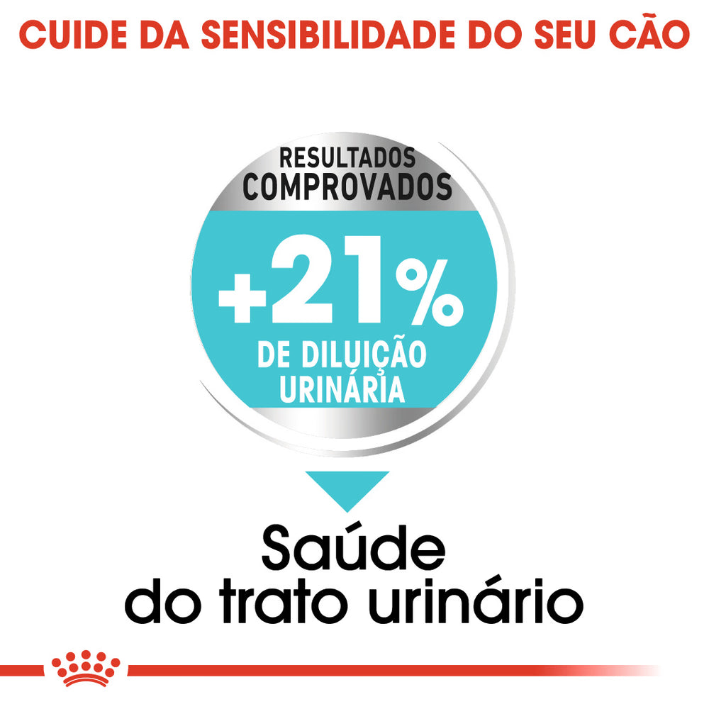 Royal Canin Perro Mini Urinary Care Aves - Pienso seco para perro para la salud urinaria