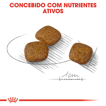 Royal Canin Perro Mini Urinary Care Aves - Pienso seco para perro para la salud urinaria