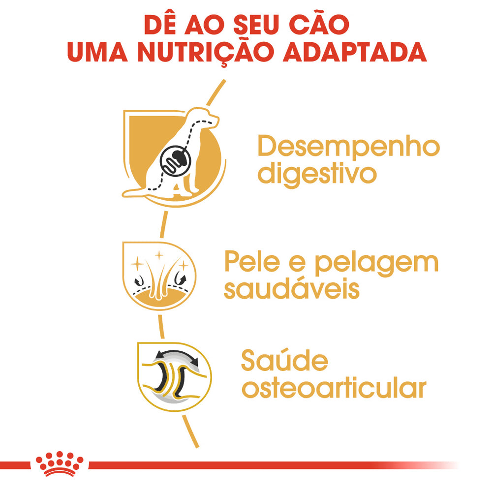 Royal Canin Cão Pastor Alemão Adulto Aves - Ração seca para cão