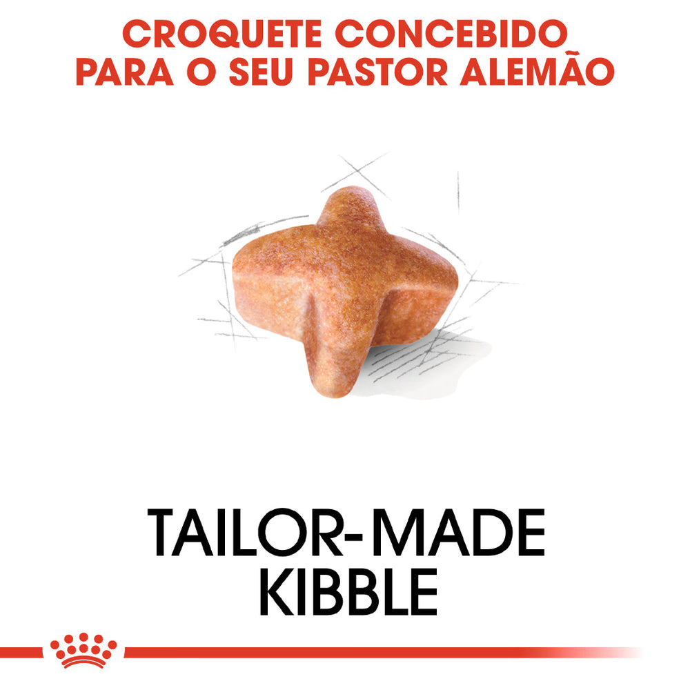 Royal Canin Cão Pastor Alemão Adulto Aves - Ração seca para cão