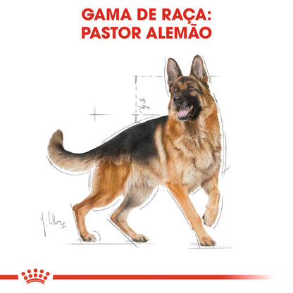 Royal Canin Cão Pastor Alemão Adulto Aves - Ração seca para cão
