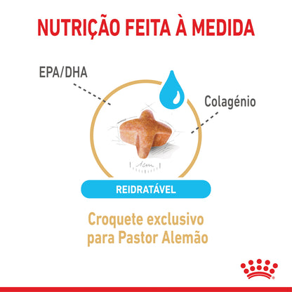 Royal Canin Perro Pastor Alemán Ageing 5+ Aves - Pienso seco para perro