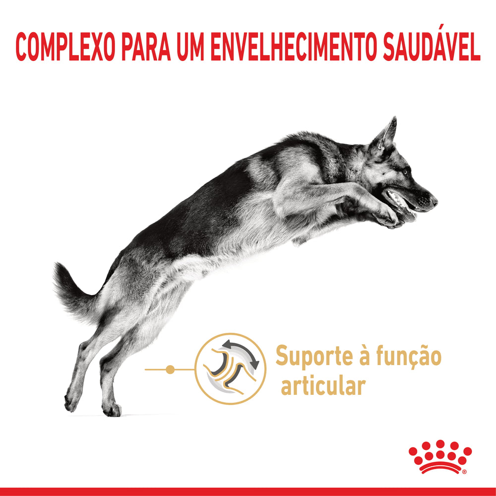 Royal Canin Perro Pastor Alemán Ageing 5+ Aves - Pienso seco para perro