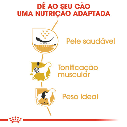 Royal Canin Perro Pug Adulto Aves - Pienso seco para perro