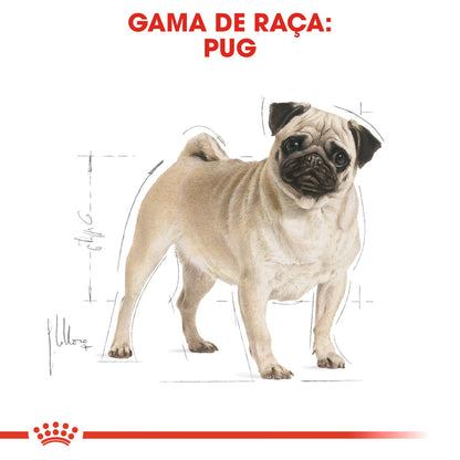 Royal Canin Perro Pug Adulto Aves - Pienso seco para perro