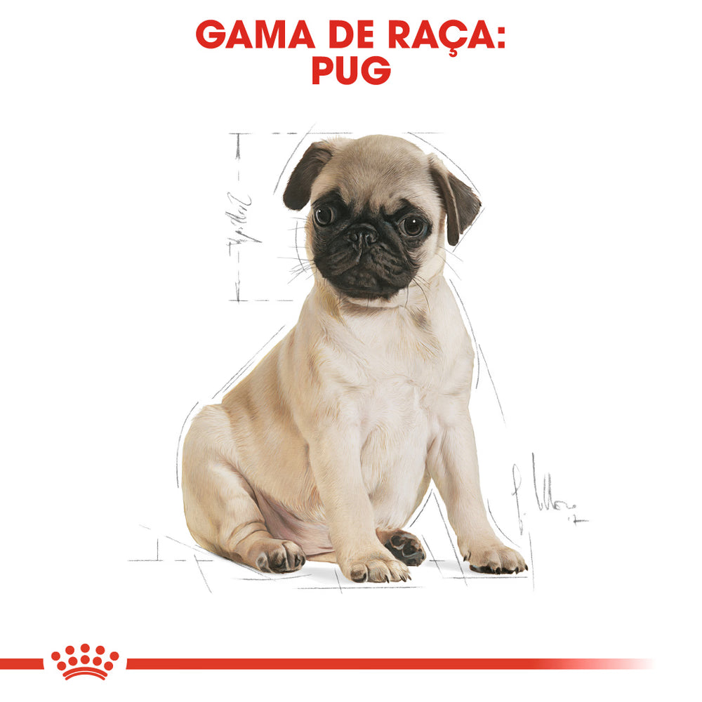 Royal Canin Perro Pug Cachorro Aves - Pienso seco para perro