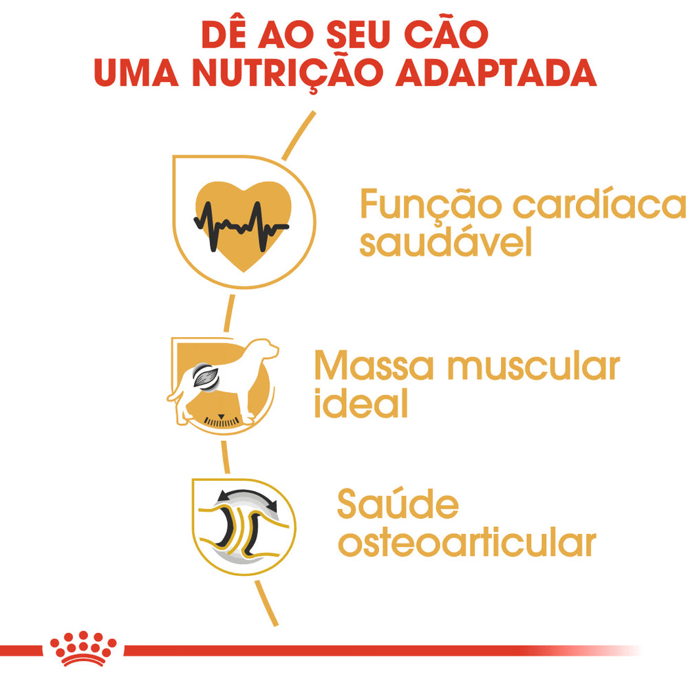 Royal Canin Perro Rottweiler Adulto - Pienso seco para perro con aves