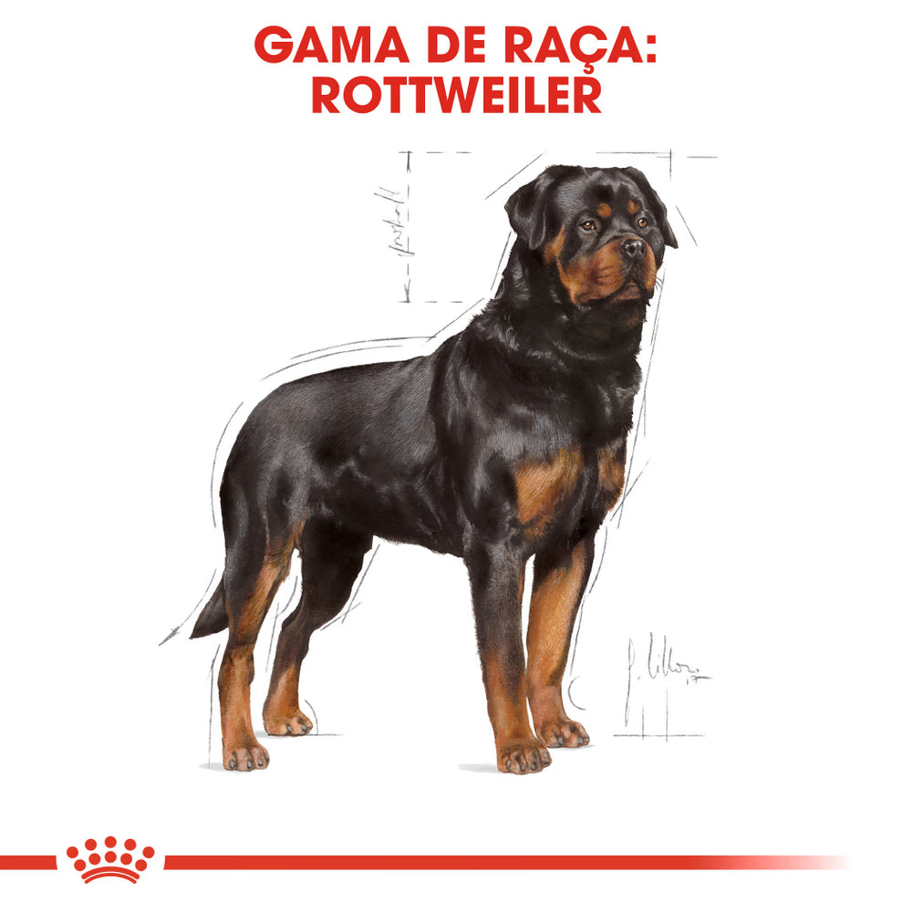 Royal Canin Perro Rottweiler Adulto - Pienso seco para perro con aves