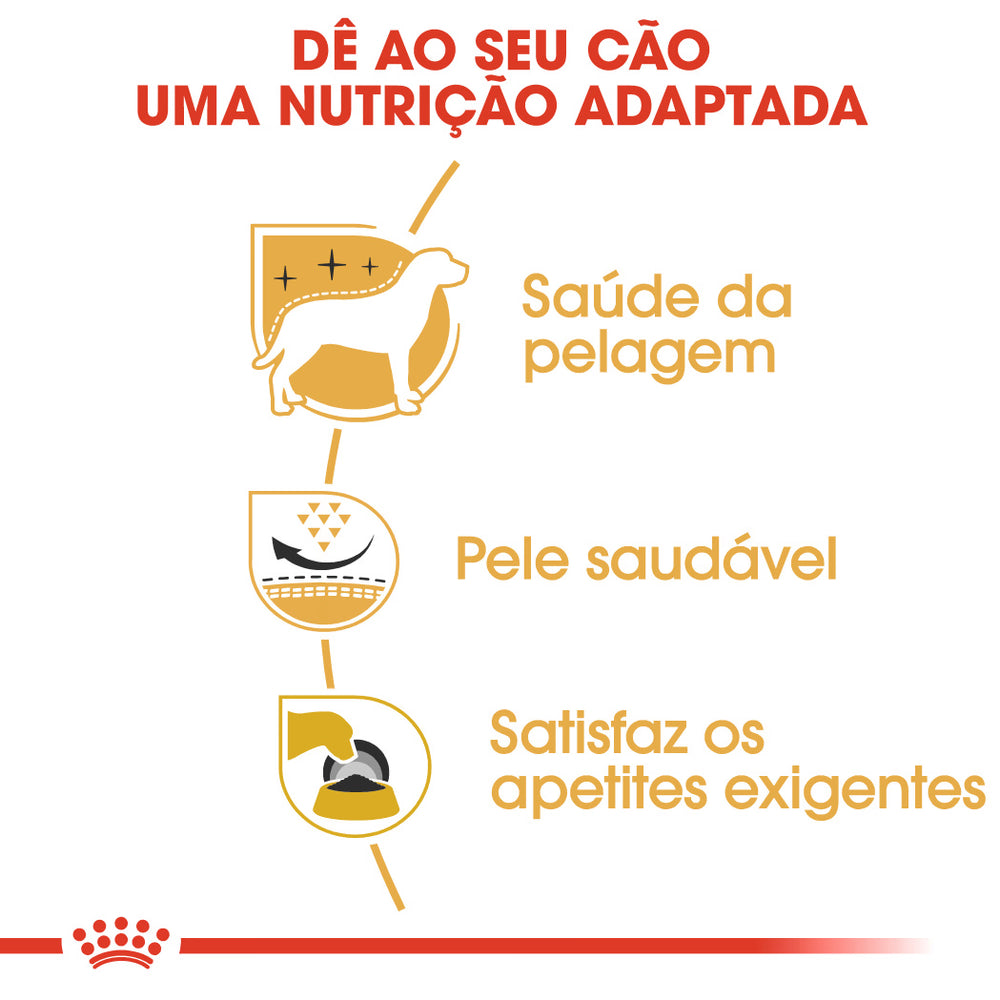 Royal Canin Cão West Highland White Terrier Adulto Aves - Ração seca para cão