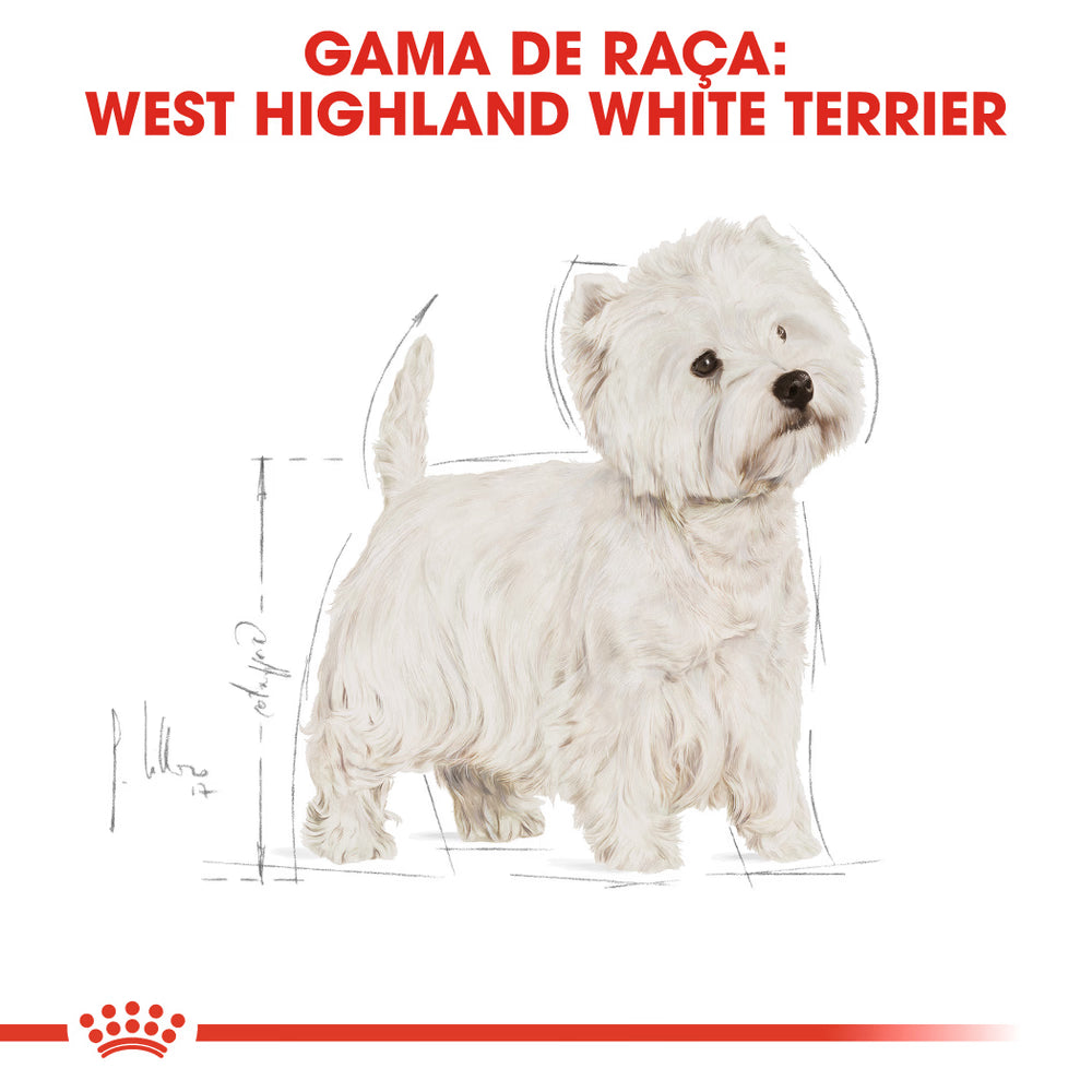 Royal Canin Cão West Highland White Terrier Adulto Aves - Ração seca para cão