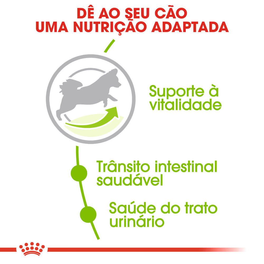 Royal Canin Cão X-Small Adulto 8+ Aves - Ração seca para cão