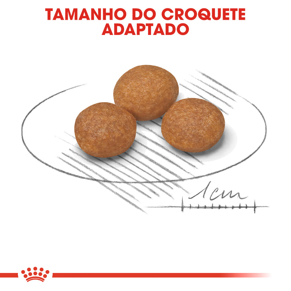Royal Canin Cão X-Small Adulto 8+ Aves - Ração seca para cão