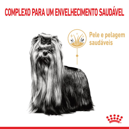 Royal Canin Perro Yorkshire Terrier Adulto Ageing 8+ Aves - Pienso seco para perro