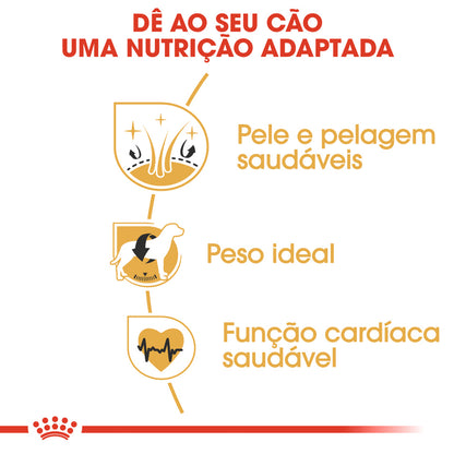 Royal Canin Cocker Adult Dog Poultry - Dry food for dogs