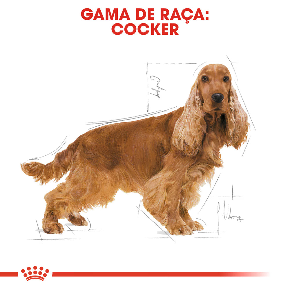 Royal Canin Cocker Adult Dog Poultry - Dry food for dogs