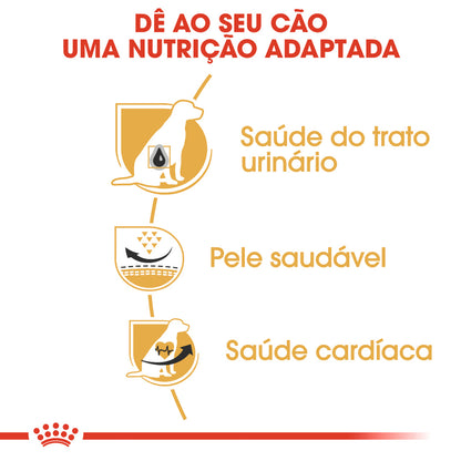 Royal Canin Dalmatian Adulto Perro - Pienso seco para perro para piel y pelo sanos y salud urinaria