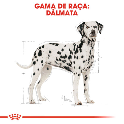 Royal Canin Dalmatian Adulto Perro - Pienso seco para perro para piel y pelo sanos y salud urinaria