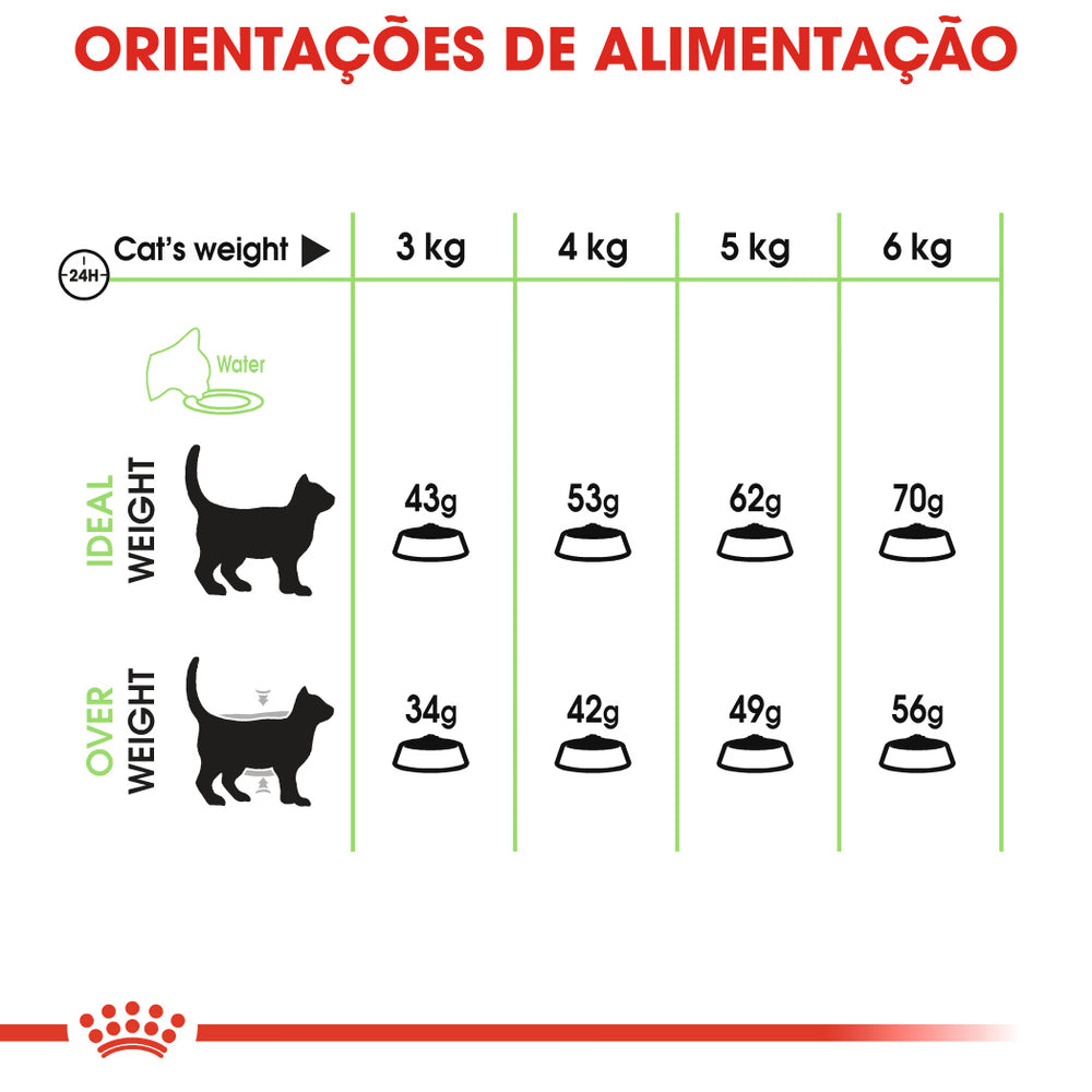 Royal Canin Digestive Care Cat Poultry - Dry cat food for healthy digestion