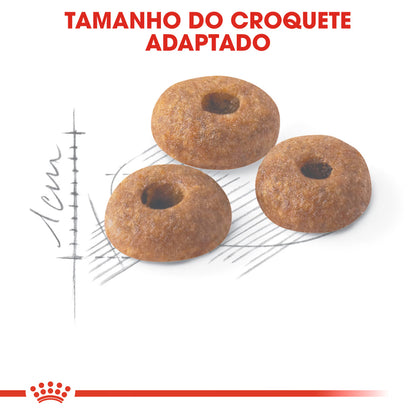 Royal Canin Fit 32 Cat Poultry - Dry cat food for weight control