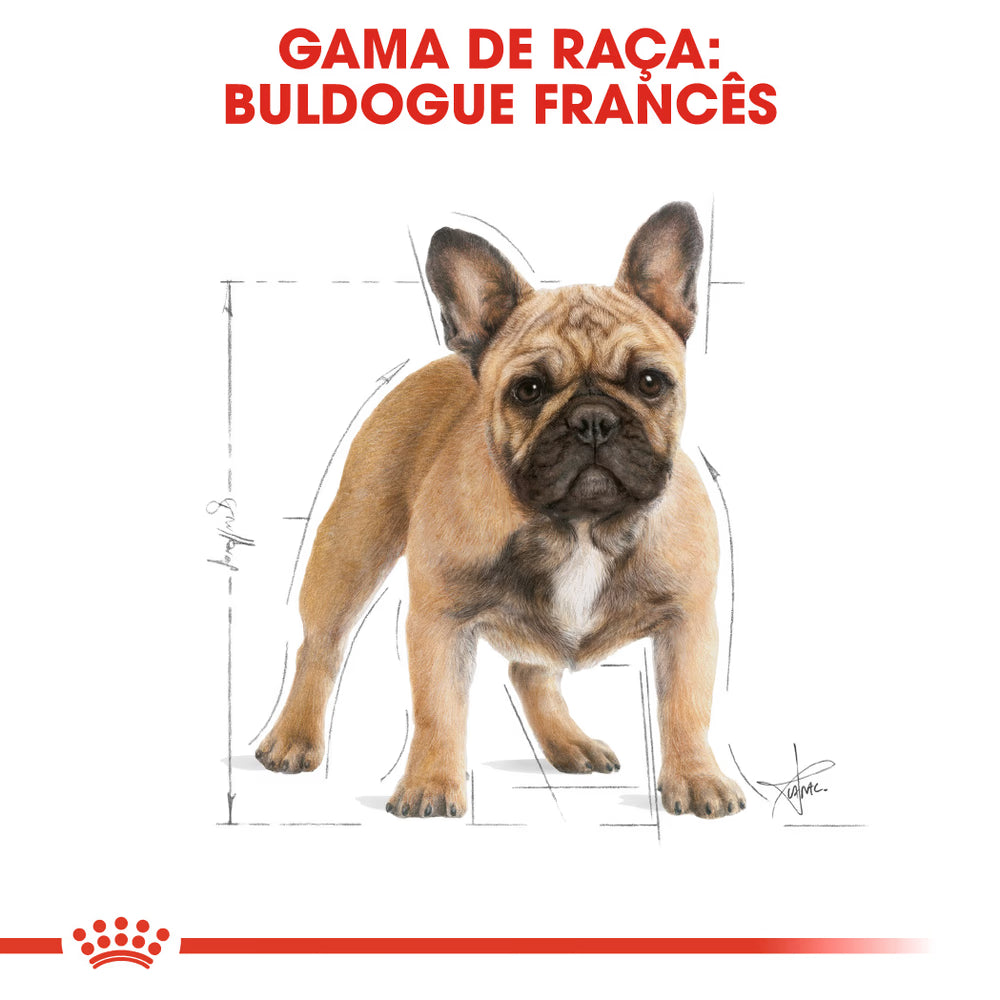 Royal Canin French Bulldog Adult Dog Pork - Dry food for dogs