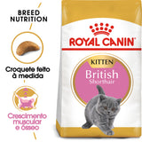 Royal Canin Kitten British Shorthair Cat Poultry - Dry cat food
