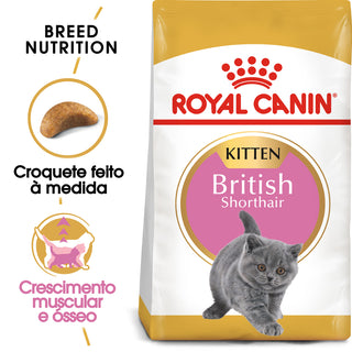 Royal Canin Kitten British Shorthair Cat Poultry - Dry cat food