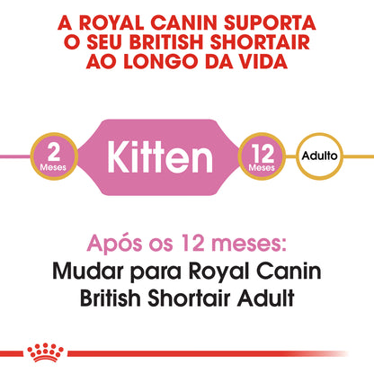 Royal Canin Kitten British Shorthair Cat Poultry - Dry cat food