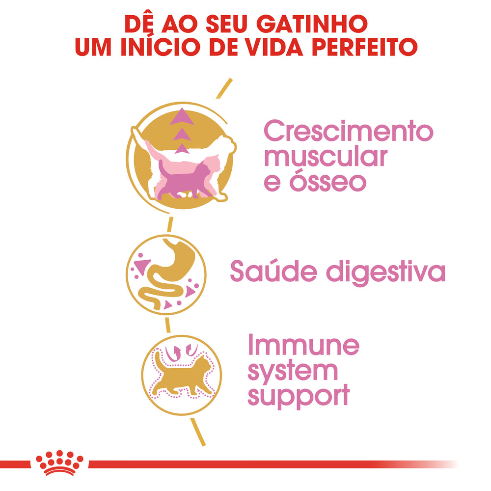 Royal Canin Kitten British Shorthair Cat Poultry - Dry cat food