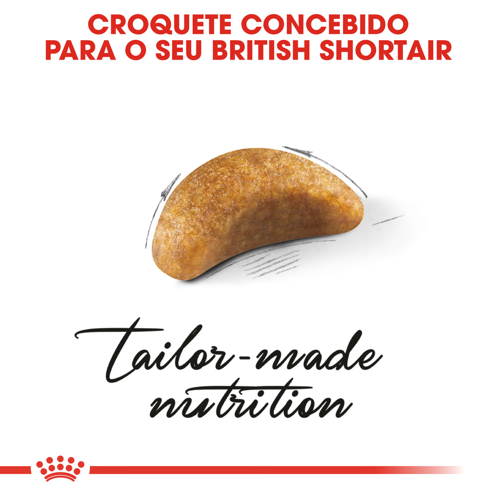 Royal Canin Kitten British Shorthair Cat Poultry - Dry cat food