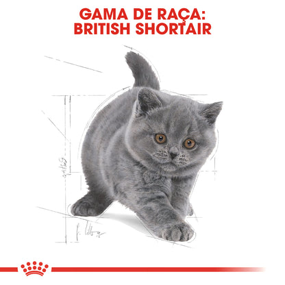 Royal Canin Kitten British Shorthair Cat Poultry - Dry cat food
