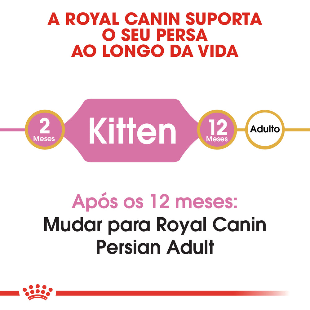 Royal Canin Gatinho Persian Gato Aves - Ração seca para gato