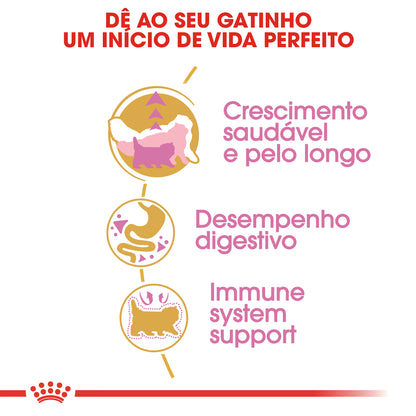 Royal Canin Gatinho Persian Gato Aves - Ração seca para gato