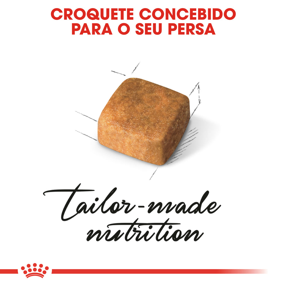 Royal Canin Gatinho Persian Gato Aves - Ração seca para gato