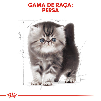 Royal Canin Gatinho Persian Gato Aves - Ração seca para gato