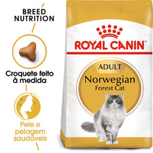 Royal Canin Gato Adulto Norwegian Forest Aves - Ração seca para gato