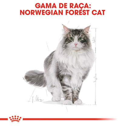 Royal Canin Adult Norwegian Forest Cat Poultry - Dry cat food