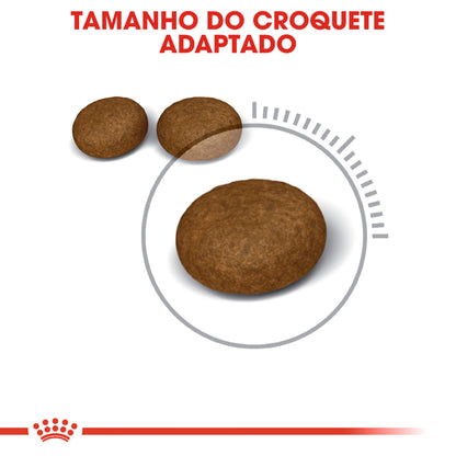 Royal Canin Cat Hair & Skin Care Poultry - Dry food for cats for healthy skin and coat