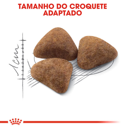 Royal Canin Gato Indoor 27 Aves - Pienso seco para gato para control de peso