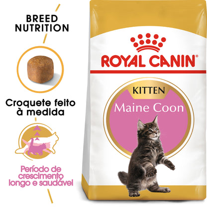Royal Canin Gato Junior Maine Coon Aves - Pienso seco para gato