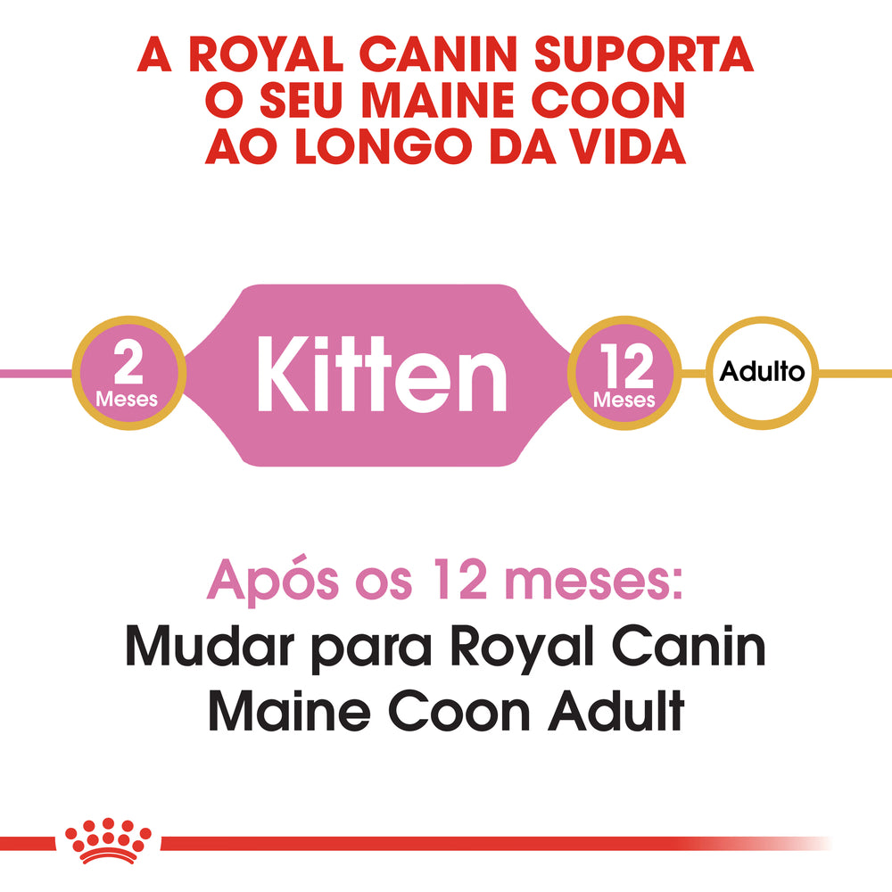 Royal Canin Gato Junior Maine Coon Aves - Pienso seco para gato