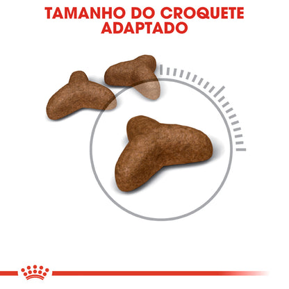Royal Canin Gato Light Weight Care Aves - Ração seca para gato para controlo de peso