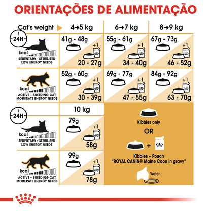 Royal Canin Cat Maine Coon Adult Poultry - Dry cat food for urinary health and joint support