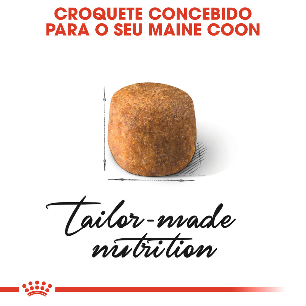 Royal Canin Cat Maine Coon Adult Poultry - Dry cat food for urinary health and joint support