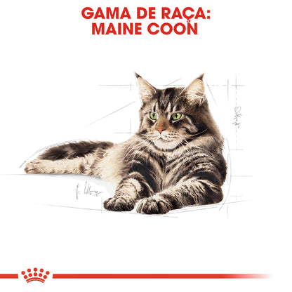 Royal Canin Cat Maine Coon Adult Poultry - Dry cat food for urinary health and joint support